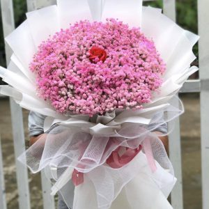 Lặng Thầm Yêu