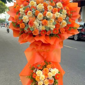 Vui Ngày Mới