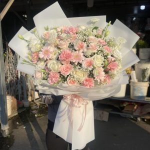 Mộng Mơ Tinh Khôi
