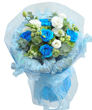 bó hoa hồng xanh dương 