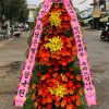 Shop hoa tươi Thành Phố Bạc Liêu