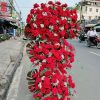 Shop Hoa Tươi Cao Bằng