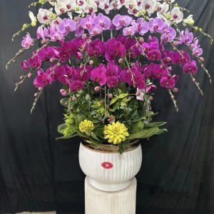 Ngọc Phát Lộc