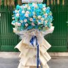 Shop Hoa Tươi Sơn Tây, Quảng Ngãi
