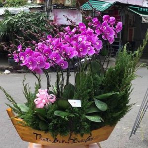 Đón Lộc Thuyền
