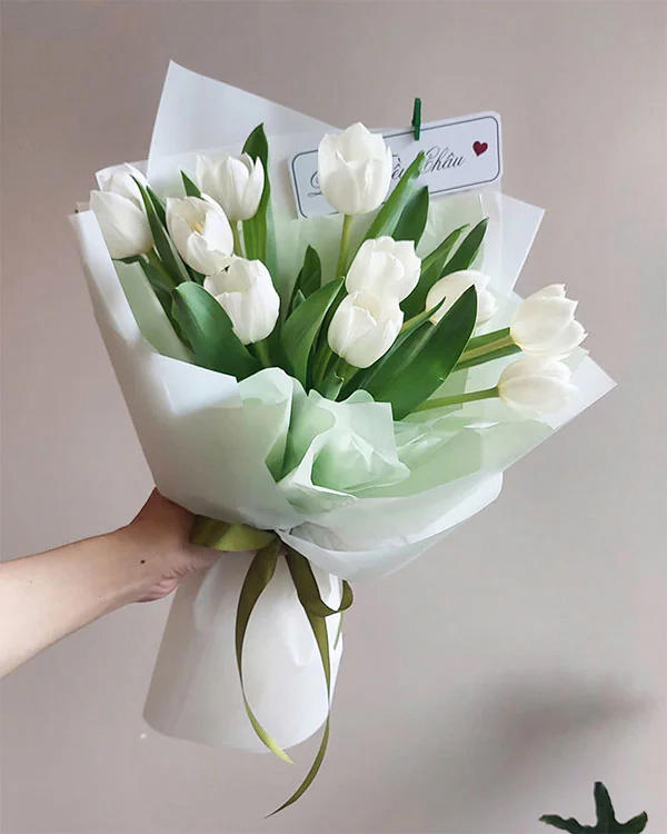 Bó hoa tulip trắng
