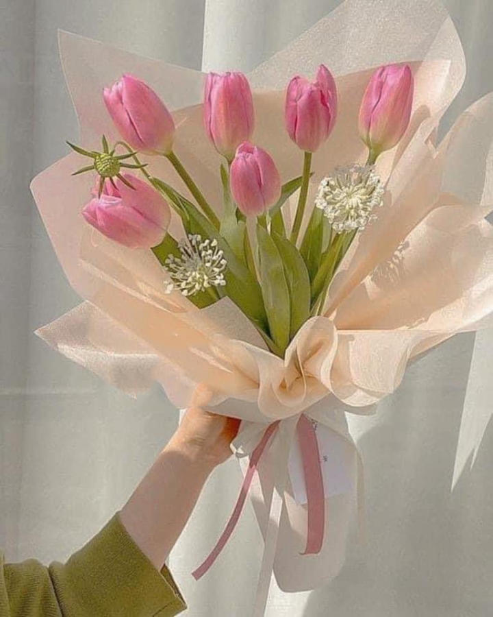 Bó hoa tulip hồng