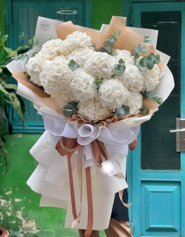 Bó hoa cẩm tú cầu trắng