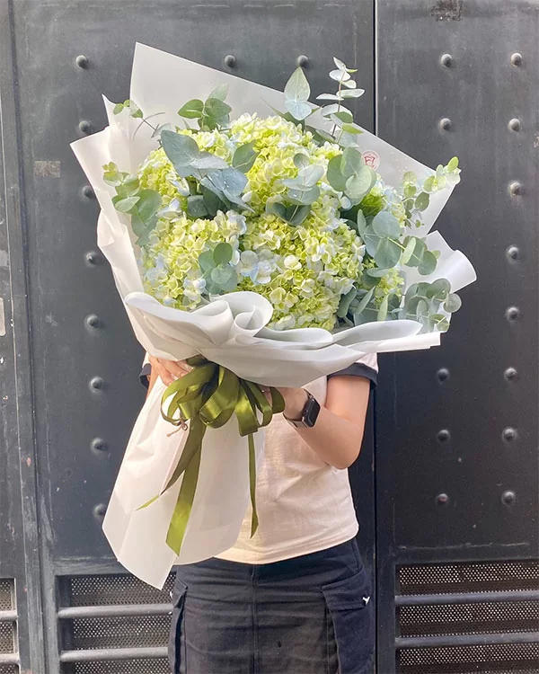 Bó hoa cẩm tú cầu xanh