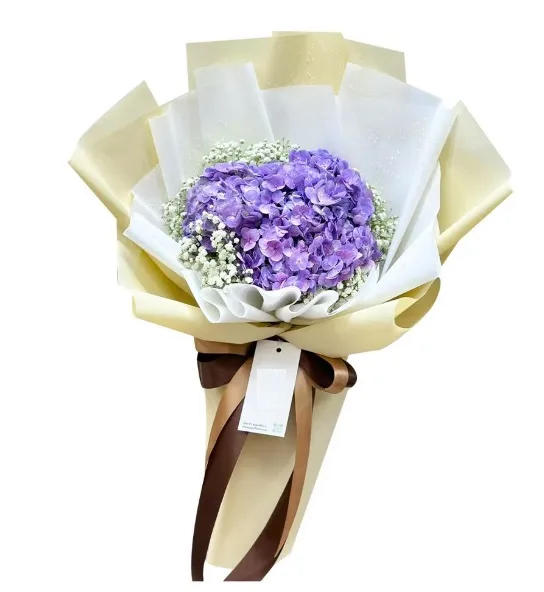 Bó hoa cẩm tú cầu tím