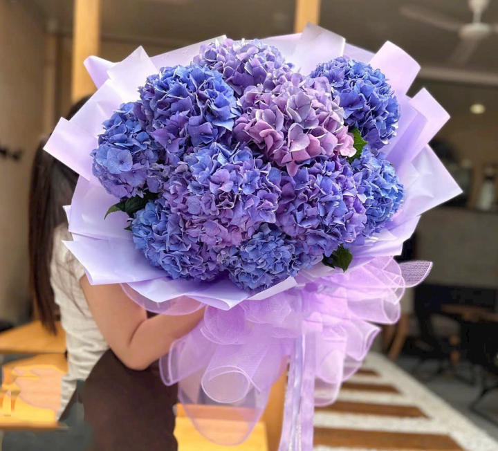 Bó hoa cẩm tú cầu tím