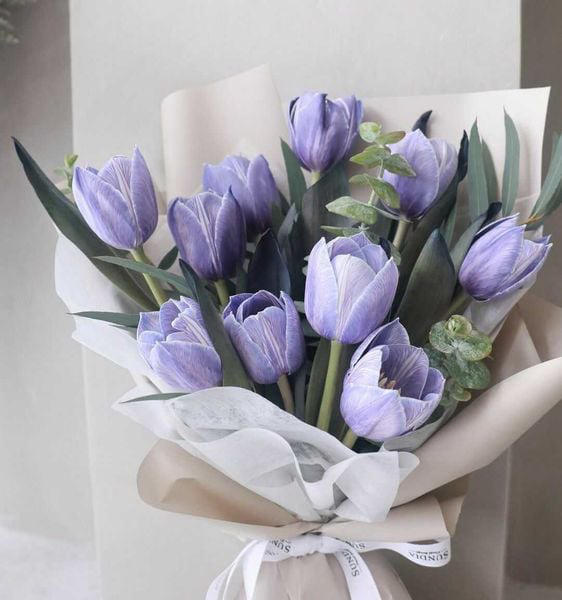 Bó hoa tulip tím
