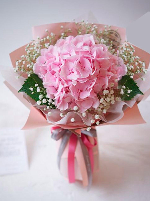 Bó hoa cẩm tú cầu hồng