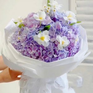 Bó hoa cẩm tú cầu tím