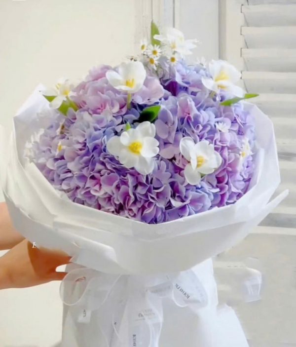 Bó hoa cẩm tú cầu tím