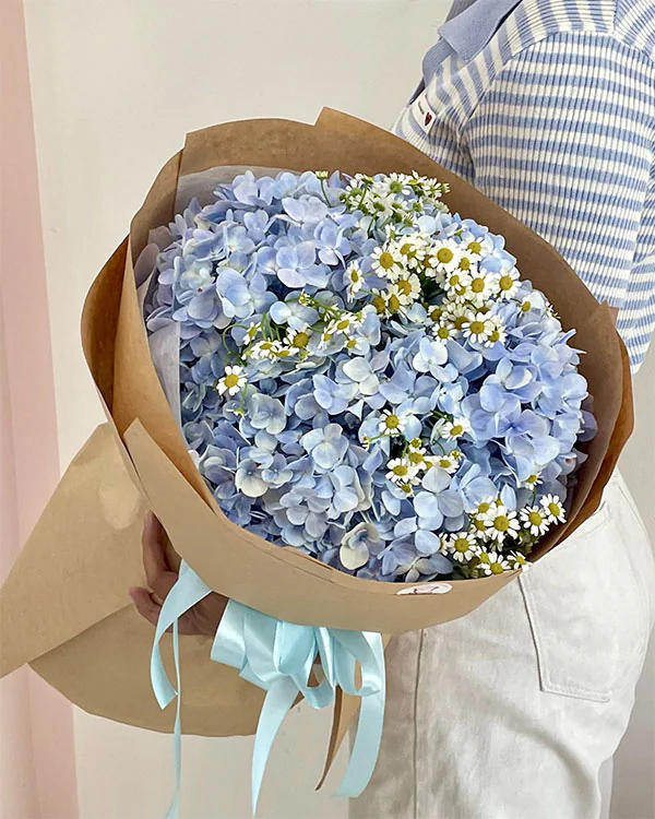 Bó hoa cẩm tú cầu xanh