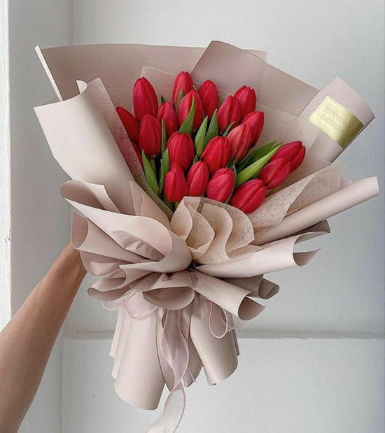 Bó hoa tulip đỏ