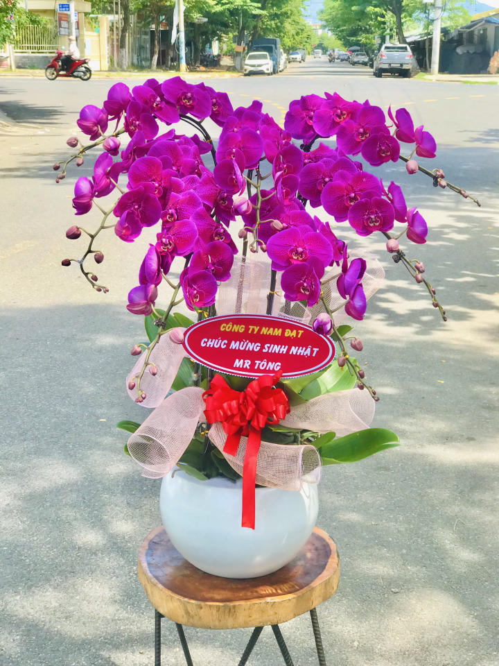 Shop Hoa Lan Hồ Điệp Đà Nẵng
