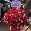 Shop Hoa Tươi Hòa Bình
