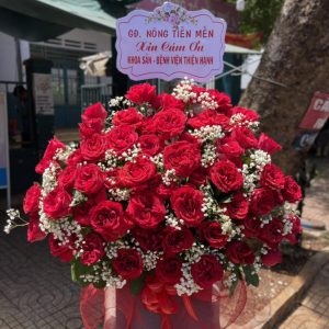 Shop Hoa Tươi Hòa Bình
