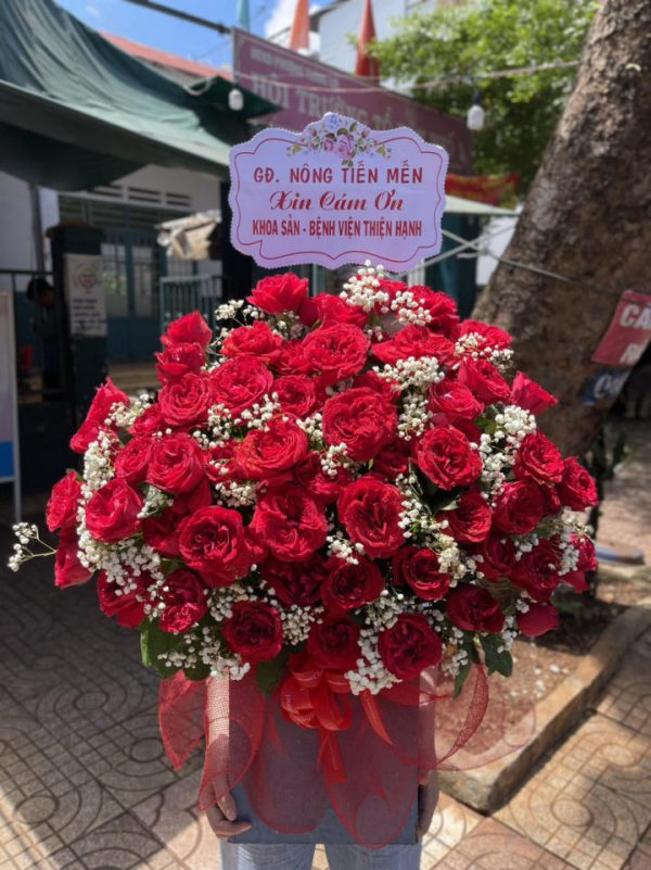Shop Hoa Tươi Hòa Bình