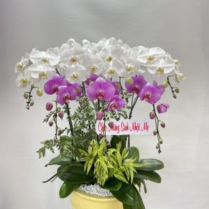 Như Ý