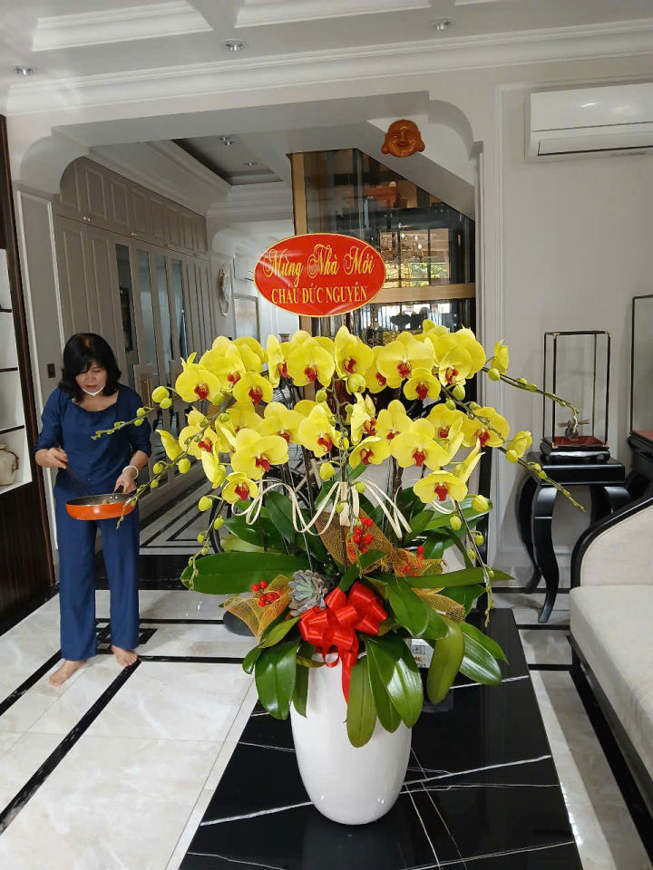 Lan hồ điệp đẹp, Chậu lan hồ điệp, chậu hoa lan