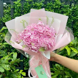 Bó hoa cẩm tú cầu, bó hoa cẩm tú cầu đẹp, hoa cẩm tú cầu đẹp