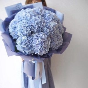 Bó hoa cẩm tú cầu, bó hoa cẩm tú cầu đẹp, hoa cẩm tú cầu đẹp