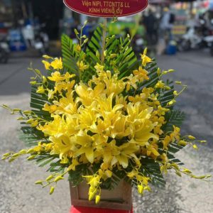 Vàng Thu Thương Tiếc