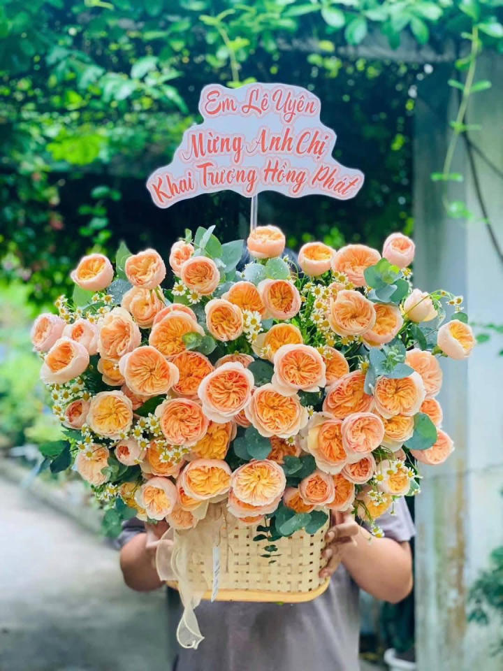 Shop Hoa Tươi ở Vĩnh Lộc, Chiêm Hóa, Tuyên Quang  