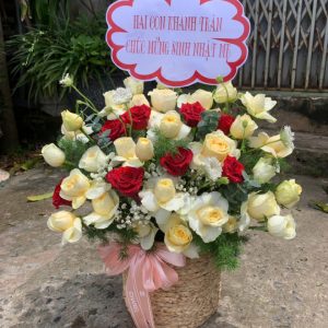 giỏ hoa 27/2, bó hoa 27/2, giỏ hoa 27/2 đẹp, bó hoa 27/2 đẹp