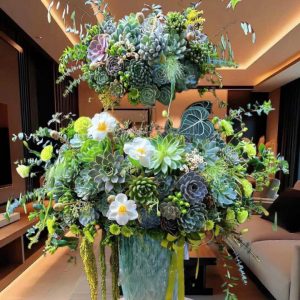 sen đá, giỏ hoa sen đá, giỏ hoa sen đá đẹp, giỏ hoa sen đá sinh nhật, giỏ hoa sen đá khai trương