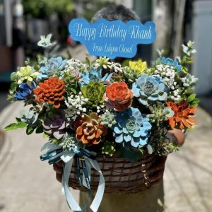 sen đá, giỏ hoa sen đá, giỏ hoa sen đá đẹp, giỏ hoa sen đá sinh nhật, giỏ hoa sen đá khai trương