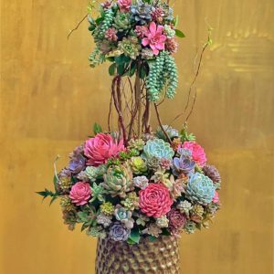 sen đá, giỏ hoa sen đá, giỏ hoa sen đá đẹp, giỏ hoa sen đá sinh nhật, giỏ hoa sen đá khai trương