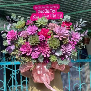 sen đá, giỏ hoa sen đá, giỏ hoa sen đá đẹp, giỏ hoa sen đá sinh nhật, giỏ hoa sen đá khai trương