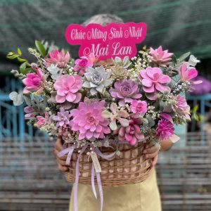 sen đá, giỏ hoa sen đá, giỏ hoa sen đá đẹp, giỏ hoa sen đá sinh nhật, giỏ hoa sen đá khai trương