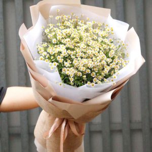 bó hoa cúc họa mi đẹp, bó hoa cúc họa mi, bó hoa cúc họa mi sang trọng