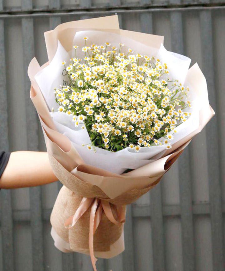 bó hoa cúc họa mi đẹp, bó hoa cúc họa mi, bó hoa cúc họa mi sang trọng