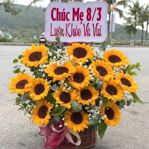 Giỏ hoa sinh nhật, giỏ hoa khai trương, giỏ hoa hướng dương