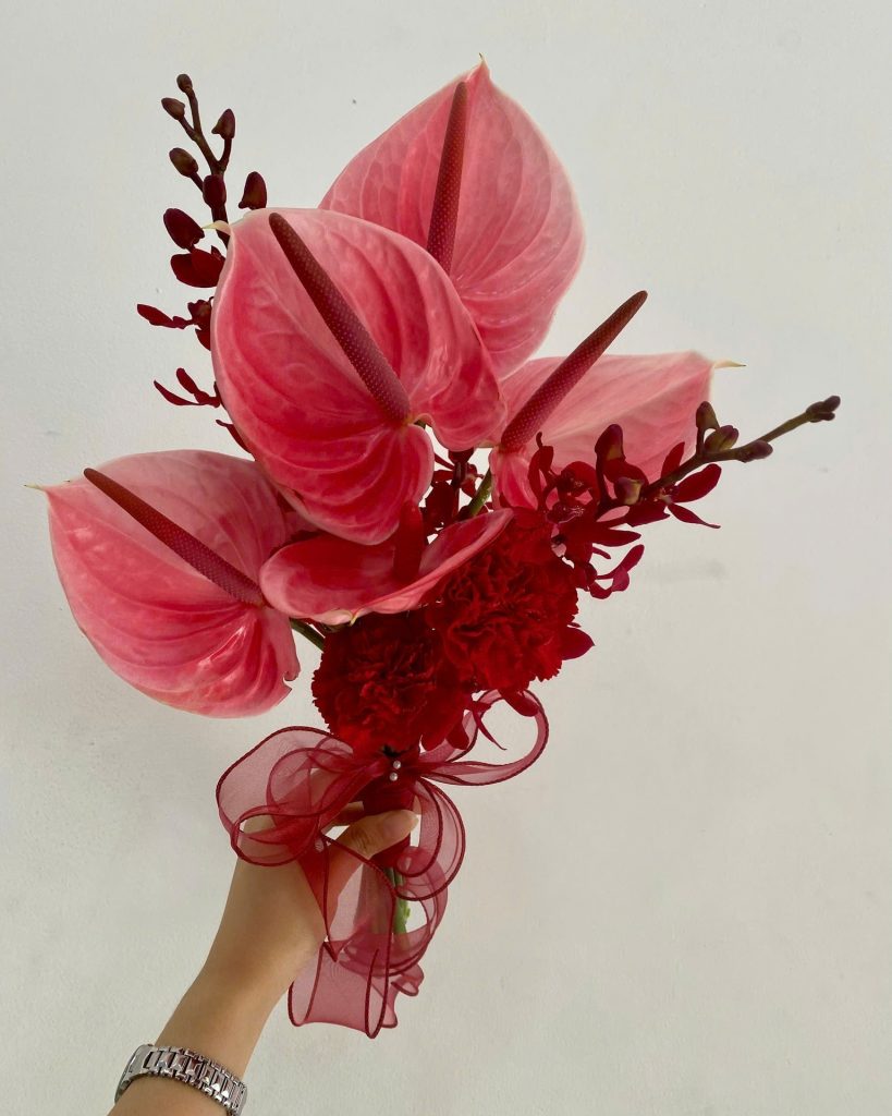 Hoa Cưới Hồng Môn Đỏ Biểu Tượng Tình Yêu Nồng Cháy