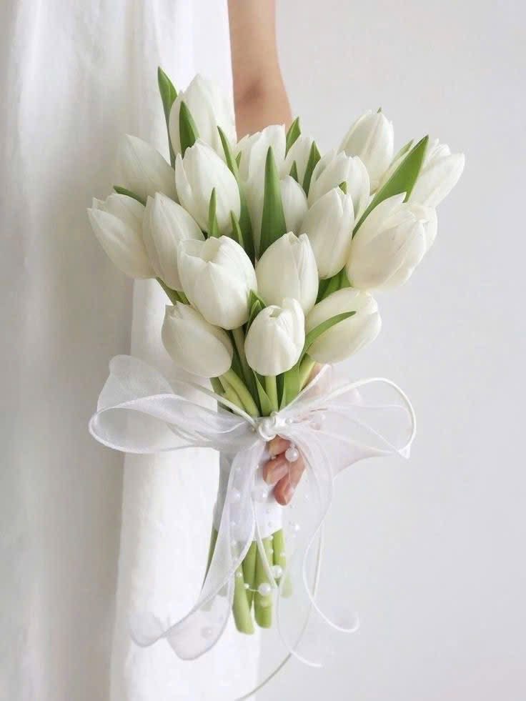 Hoa Tulip Cầm Tay Cô Dâu Thanh Lịch Và Sang Trọng