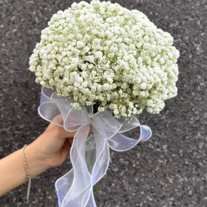 bó hoa cưới baby trắng, bó hoa cưới baby