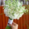 bó hoa cưới phi yến trắng