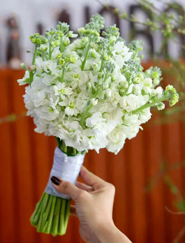 bó hoa cưới phi yến trắng