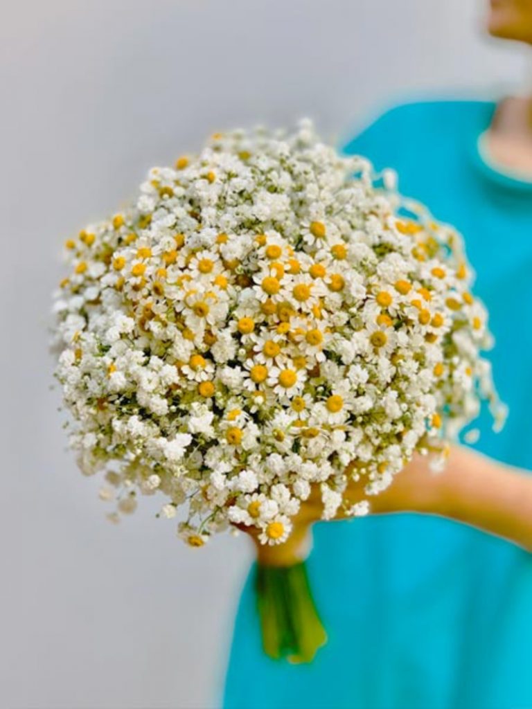 Bó Hoa Cưới Cúc Họa Mi Trắng Dịu Dàng Đầy Cuốn Hút