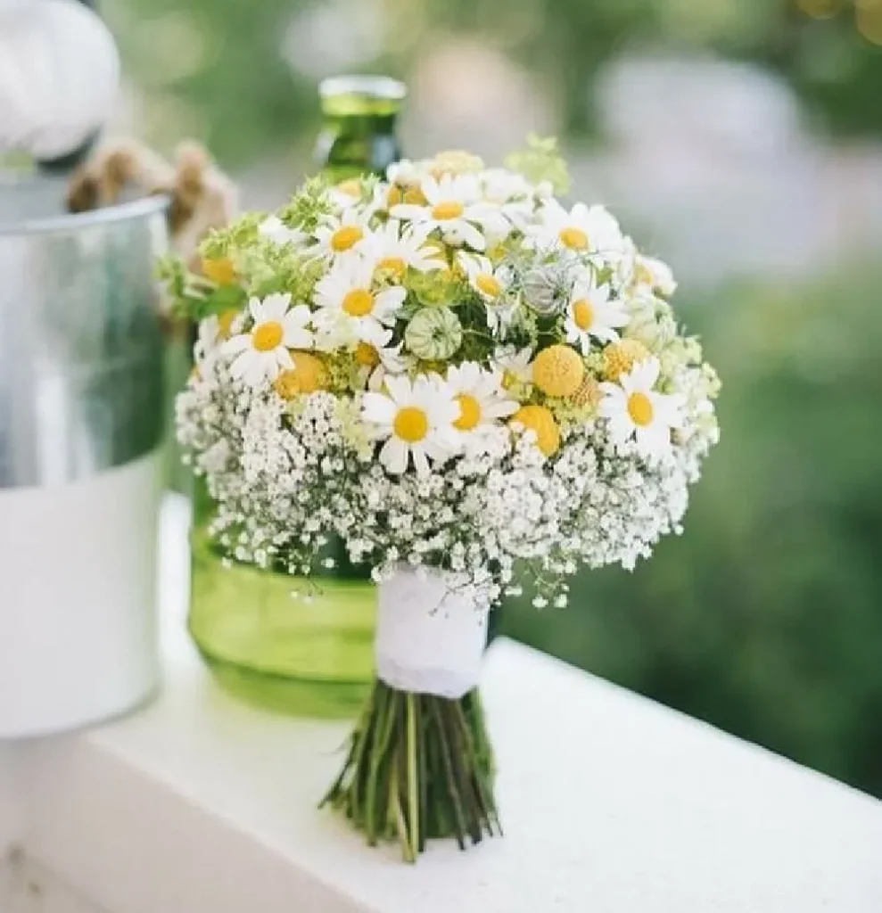 Bó Hoa Cưới Cúc Họa Mi Thanh Lịch Và Tinh Tế
