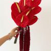 Hoa Cưới Hồng Môn Đỏ