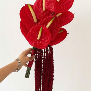 Hoa Cưới Hồng Môn Đỏ
