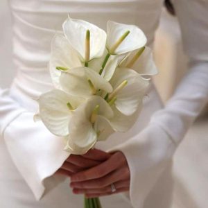Hoa Cưới Hồng Môn Trắng